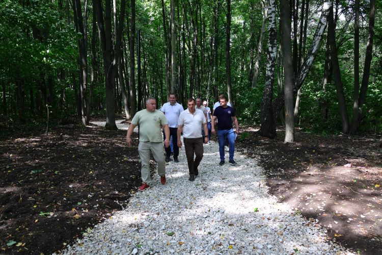 Работы по благоустройству в рязанском Лесопарке завершатся к 15 августа