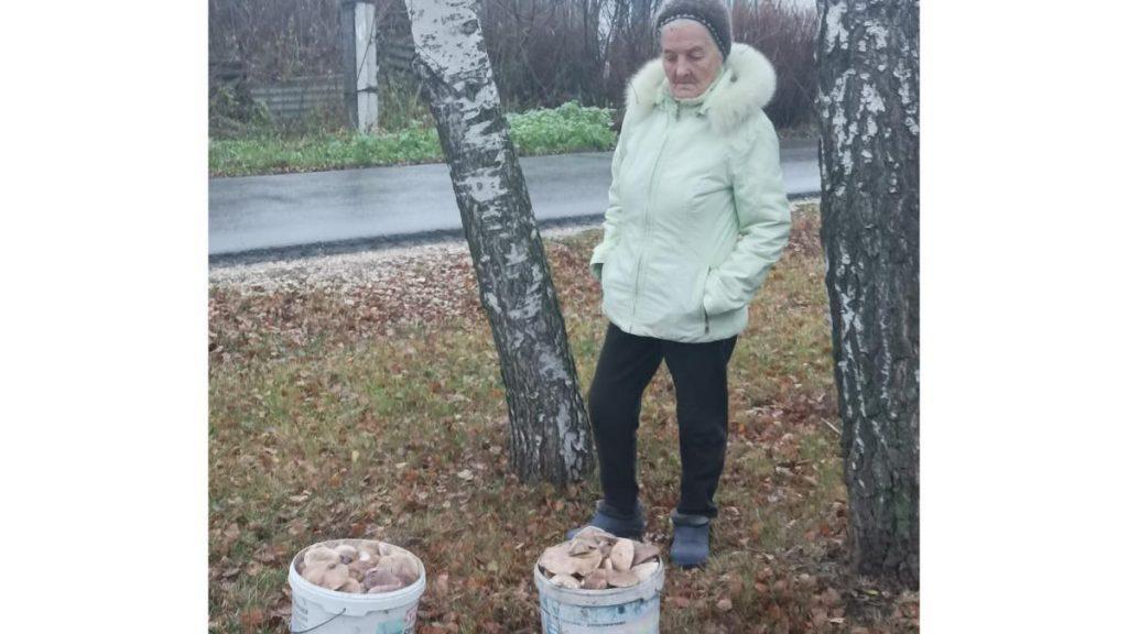 83-летняя жительница рязанского Пронска собрала два ведра рядовок