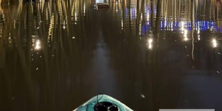 Бесплатные автобусы повезут участников фестиваля «Рязанское море»