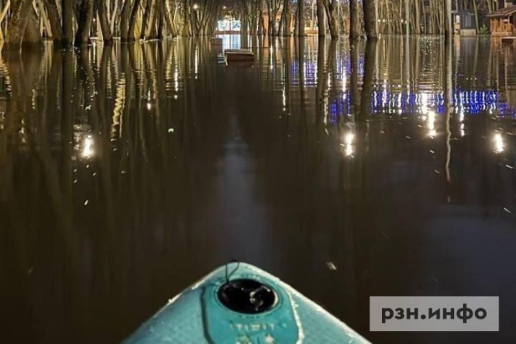 Бесплатные автобусы повезут участников фестиваля «Рязанское море»
