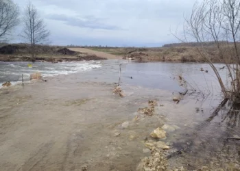 Паводок затопил дорогу в Рязанской области на метр