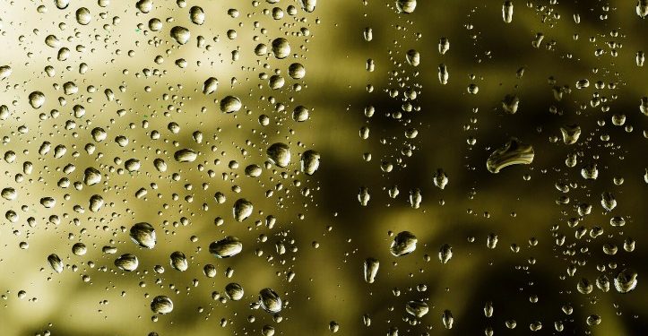 В конце июля в Рязани ожидаются дожди и похолодание