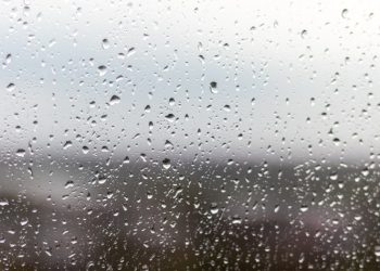 В Рязанской области 28 июля обещают дожди с грозами и до +29 градусов В Рязанской области 28 июля обещают дожди с грозами и до +29 градусов