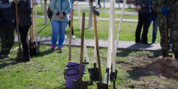Стало известно, когда в Рязани пройдут общегородские субботники