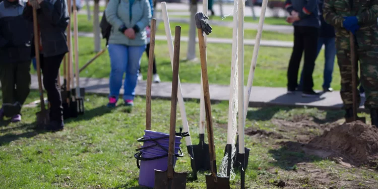 Стало известно, когда в Рязани пройдут общегородские субботники
