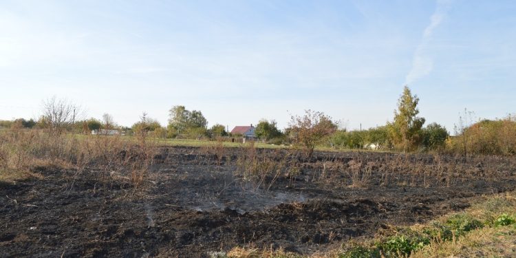 В Старожиловском районе местная жительница устроила пожар