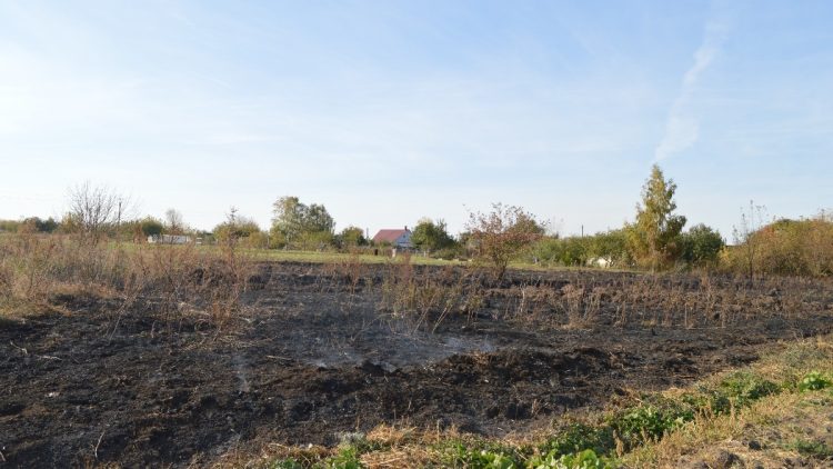 В Старожиловском районе местная жительница устроила пожар