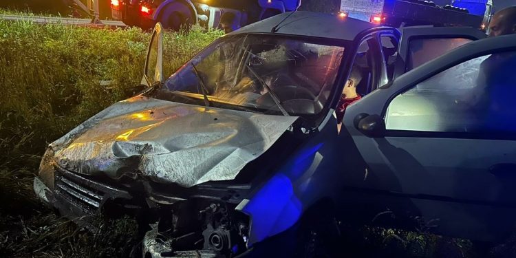 В Шацком районе при опрокидывании легковушки пострадали один взрослый и двое детей