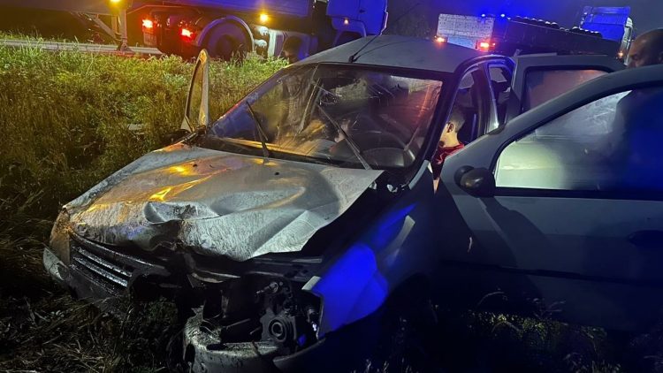 В Шацком районе при опрокидывании легковушки пострадали один взрослый и двое детей