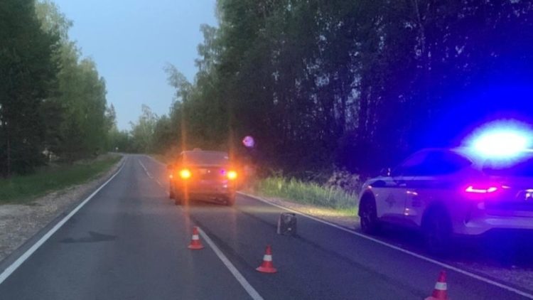 В Спасском районе произошло ДТП с участием лося, пострадала женщина-водитель