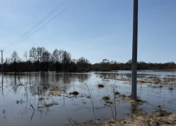 Затопленные паводком мосты в Рязанской области восстановлены