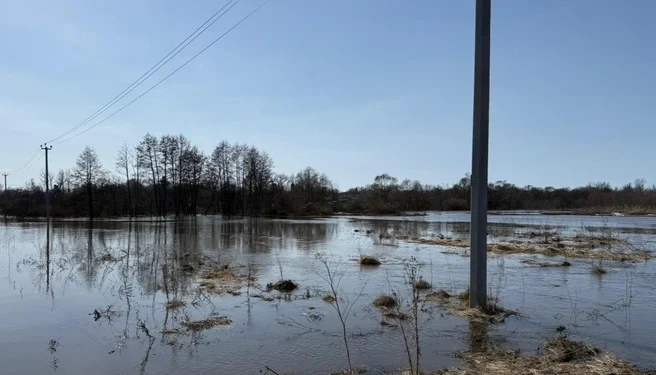 Затопленные паводком мосты в Рязанской области восстановлены Затопленные паводком мосты в Рязанской области восстановлены