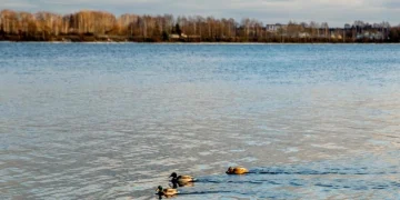 Ремонт наплавного моста возобновит движение в Рязанской области