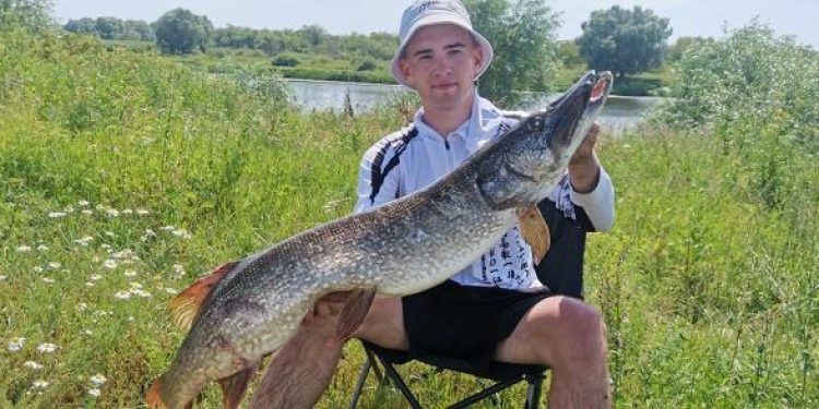 В Касимовском округе рыбак поймал огромную щуку