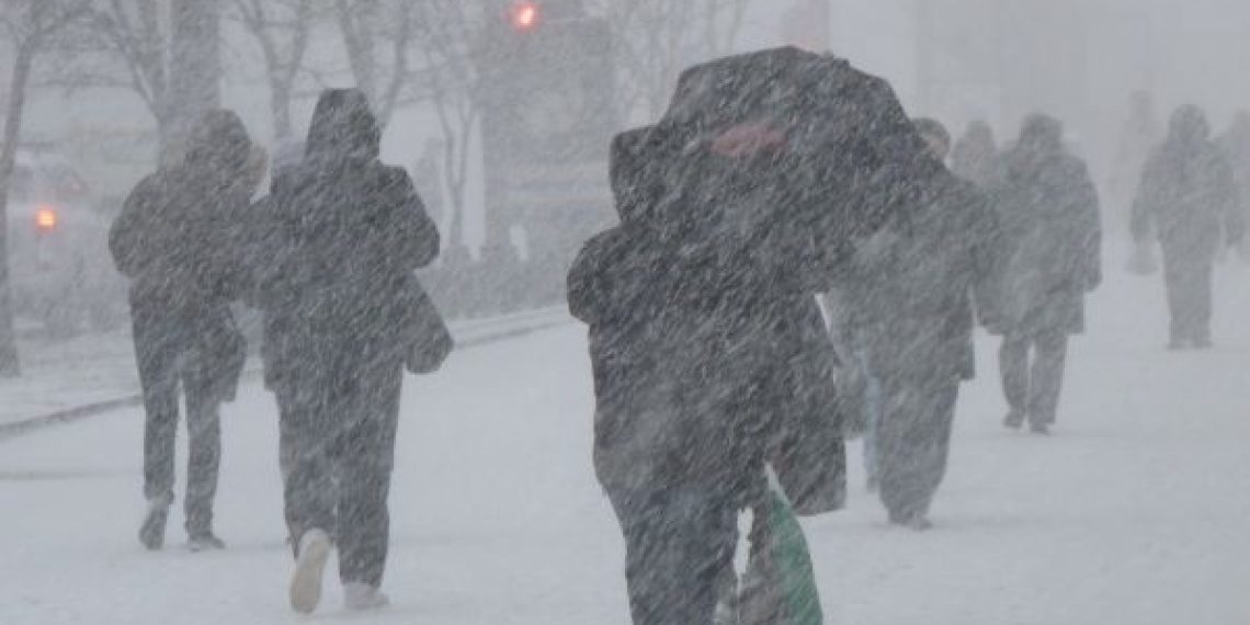 МЧС: в Рязанской области 15 и 16 ноября ожидается снег, гололедица и усиление ветра