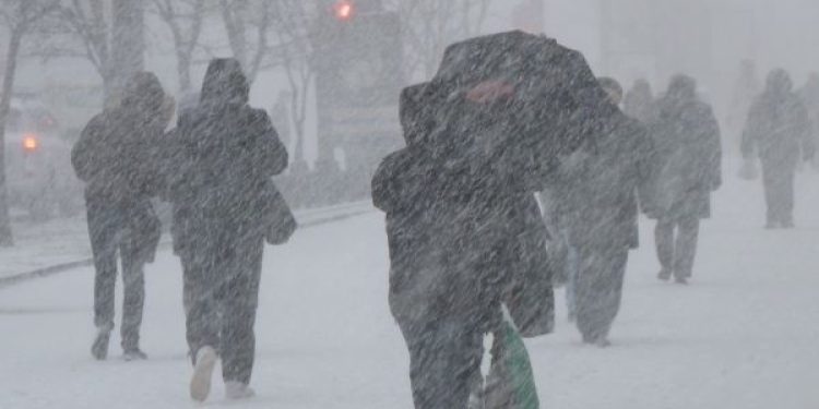 МЧС: в Рязанской области 15 и 16 ноября ожидается снег, гололедица и усиление ветра МЧС: в Рязанской области 15 и 16 ноября ожидается снег, гололедица и усиление ветра