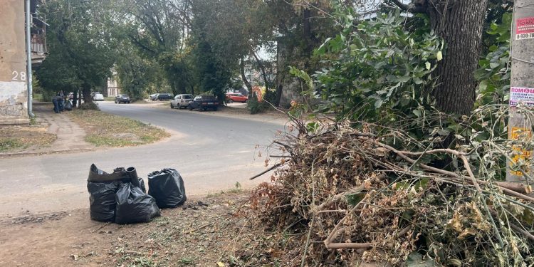 Рязанцев приглашают на общегородской субботник 4 октября