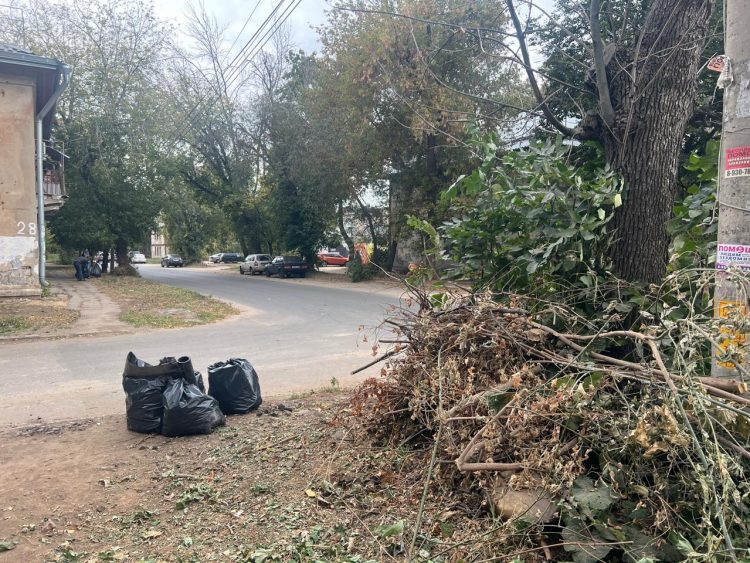 Рязанцев приглашают на общегородской субботник 4 октября