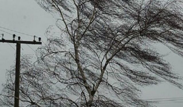 Рязанцев предупредили о сильном ветре 5 марта