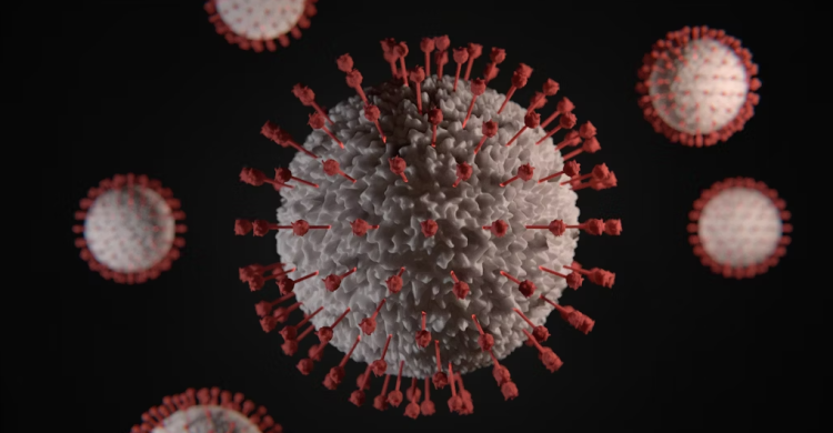 За прошедшую неделю 22 рязанца заразились коронавирусом