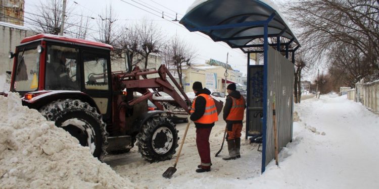 Рязанская ДБГ ищет координатора по логистике и тракториста