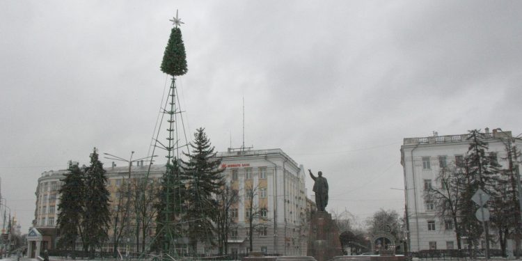 Новогоднюю ель на рязанской площади Ленина украсят 300 шариками