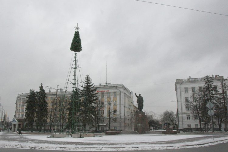 Новогоднюю ель на рязанской площади Ленина украсят 300 шариками