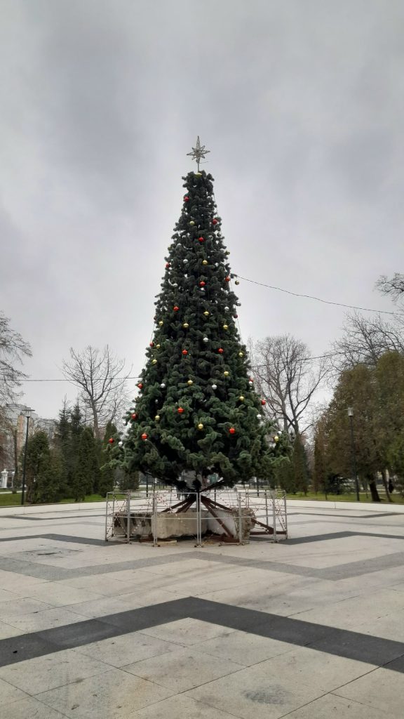 В рязанском Верхнем горпарке продолжают украшать собранную к Новому году ель