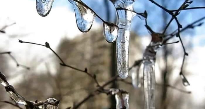 На этой неделе в Рязанской области сохранится тепло