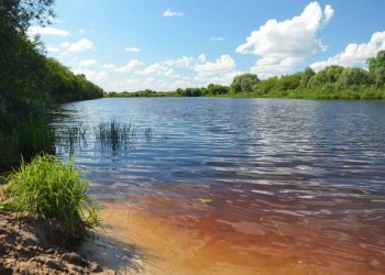 Жители рязанской Солотчи боятся остаться без доступа к реке