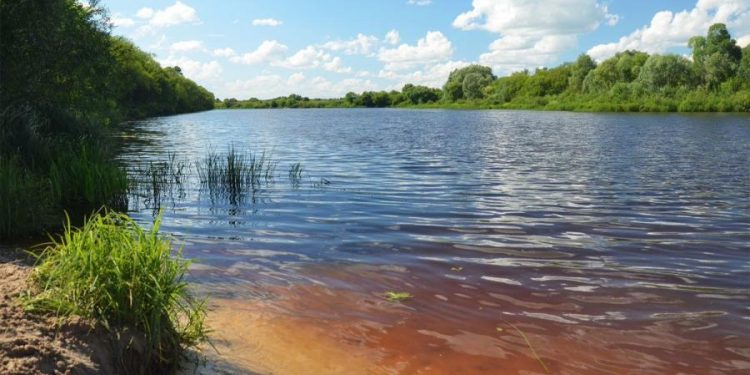 Жители рязанской Солотчи боятся остаться без доступа к реке