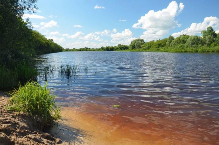 Жители рязанской Солотчи боятся остаться без доступа к реке