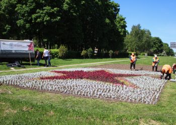В рязанские клумбы высадили георгины, цинерарию, тагетис и петунию В рязанские клумбы высадили георгины, цинерарию, тагетис и петунию