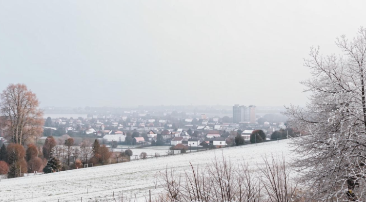 Синоптик Вильфанд пообещал рязанцам бесснежный декабрь