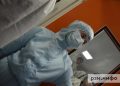 Эксперт объяснила возможность эпидемии хантавируса в России