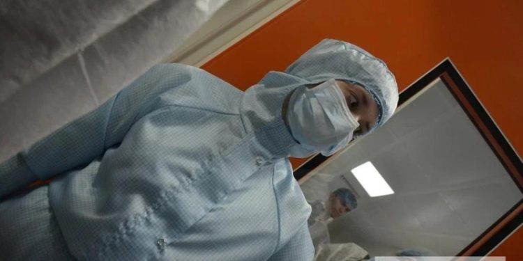Эксперт объяснила возможность эпидемии хантавируса в России