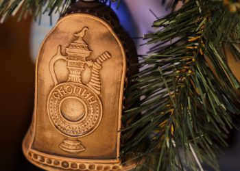 Проект Рязанской области включили в число лидеров финала конкурса «Елки России»