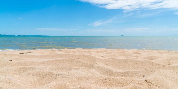 В Рязани к новому летнему сезону откроют 5 пляжей В Рязани к новому летнему сезону откроют 5 пляжей