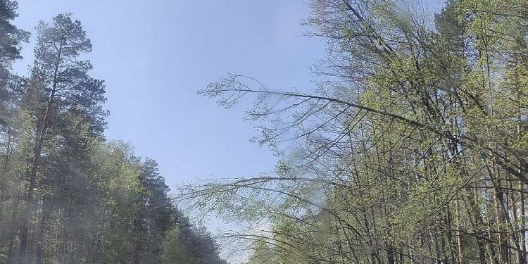 Рязанских водителей предупредили об опасной дороге между Солотчей и Спас-Клепиками