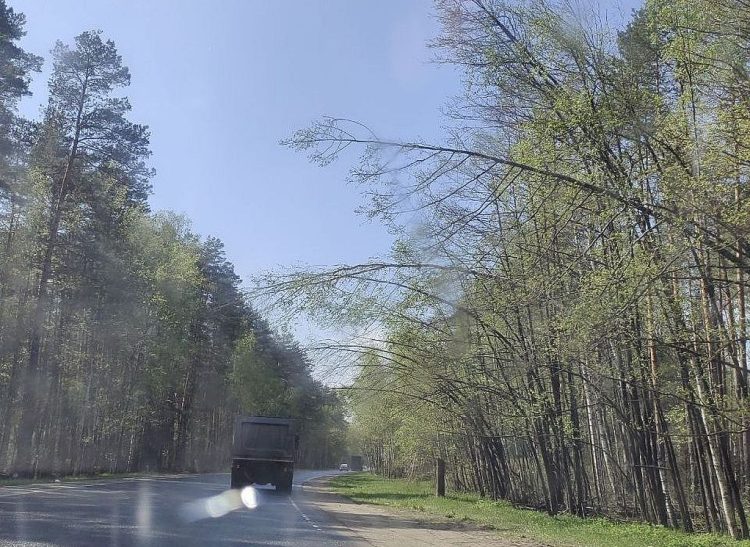 Рязанских водителей предупредили об опасной дороге между Солотчей и Спас-Клепиками