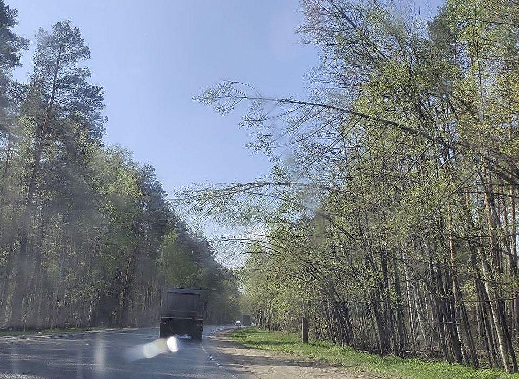 Рязанских водителей предупредили об опасной дороге между Солотчей и Спас-Клепиками
