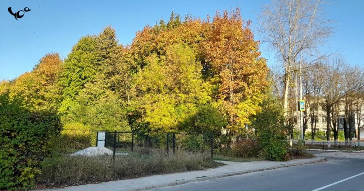 Следующая неделя в Рязанской области начнется с потепления