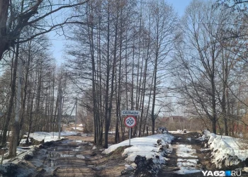 Рязанское село рискует умереть без транспортного сообщения Рязанское село рискует умереть без транспортного сообщения