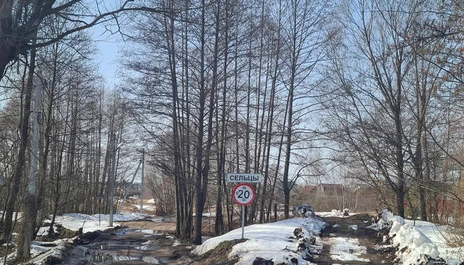 Рязанское село рискует умереть без транспортного сообщения