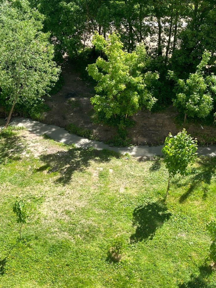 Ручей Быстрец в Рязани из красного перекрасился в белый цвет