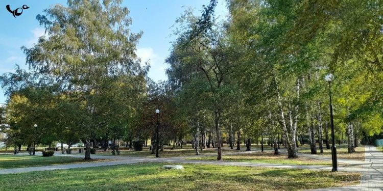 В четверг в Рязанской области ожидается до +25 градусов