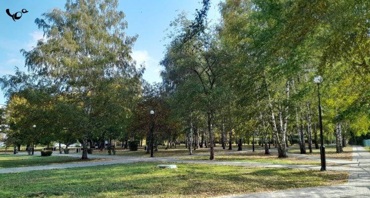 В четверг в Рязанской области ожидается до +25 градусов