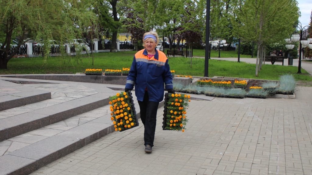 В Рязани в сквере имени Маргелова высадили тагетис и фекстуку