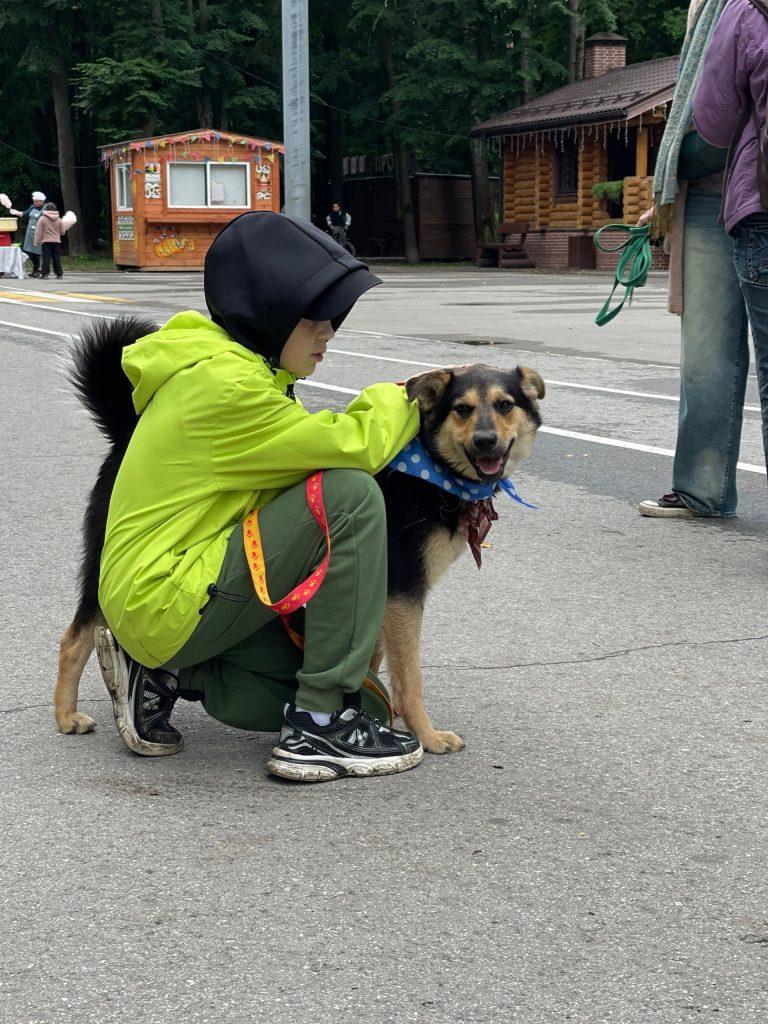 На выставке бездомных животных в Рязани пристроили 6 собак и 8 кошек
