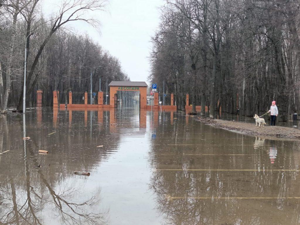 3 апреля в Рязани перекрыли подтопленный Окский проезд